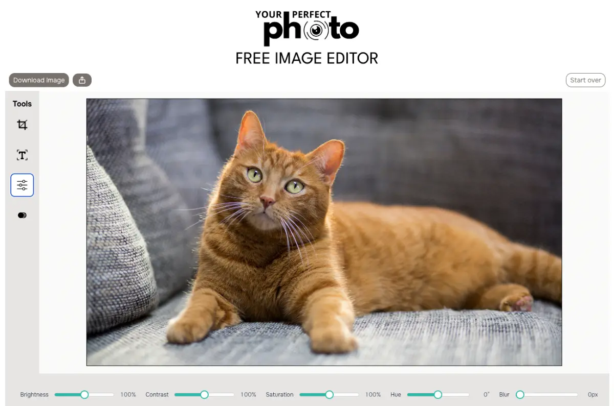 Your Perfect Photo - Screenshot 2