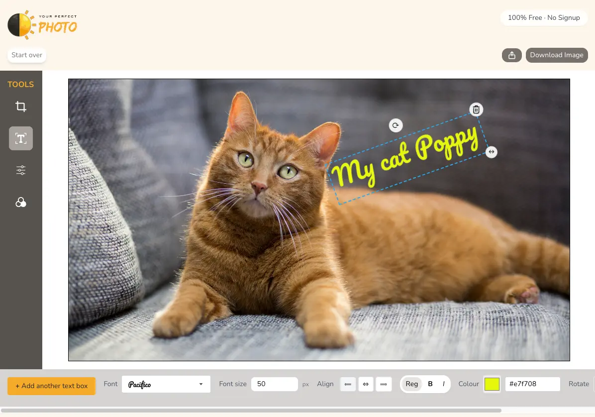 Your Perfect Photo - Screenshot 2