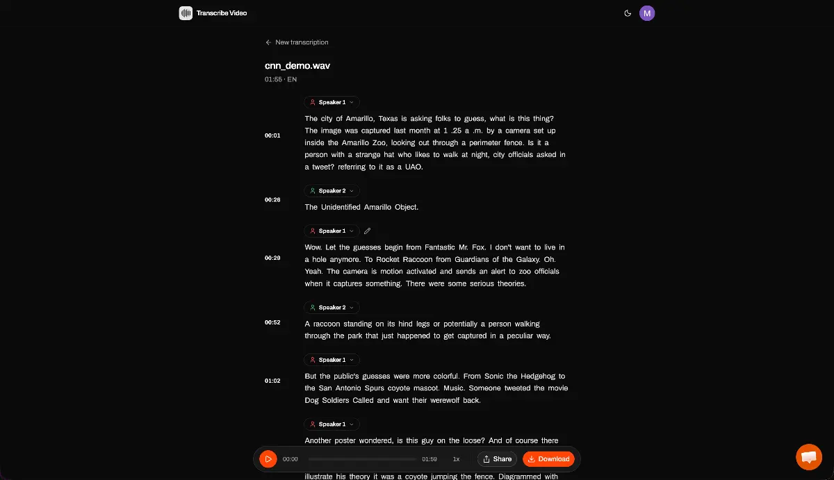 Transcribe Video to Text - Screenshot 2
