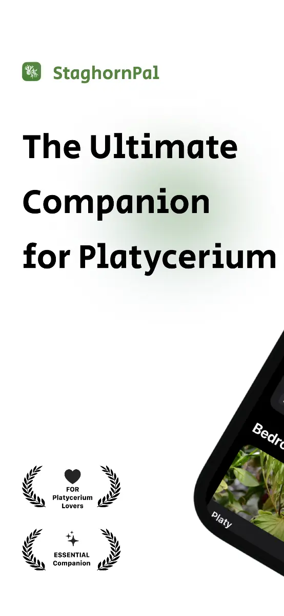 StaghornPal - Screenshot 1