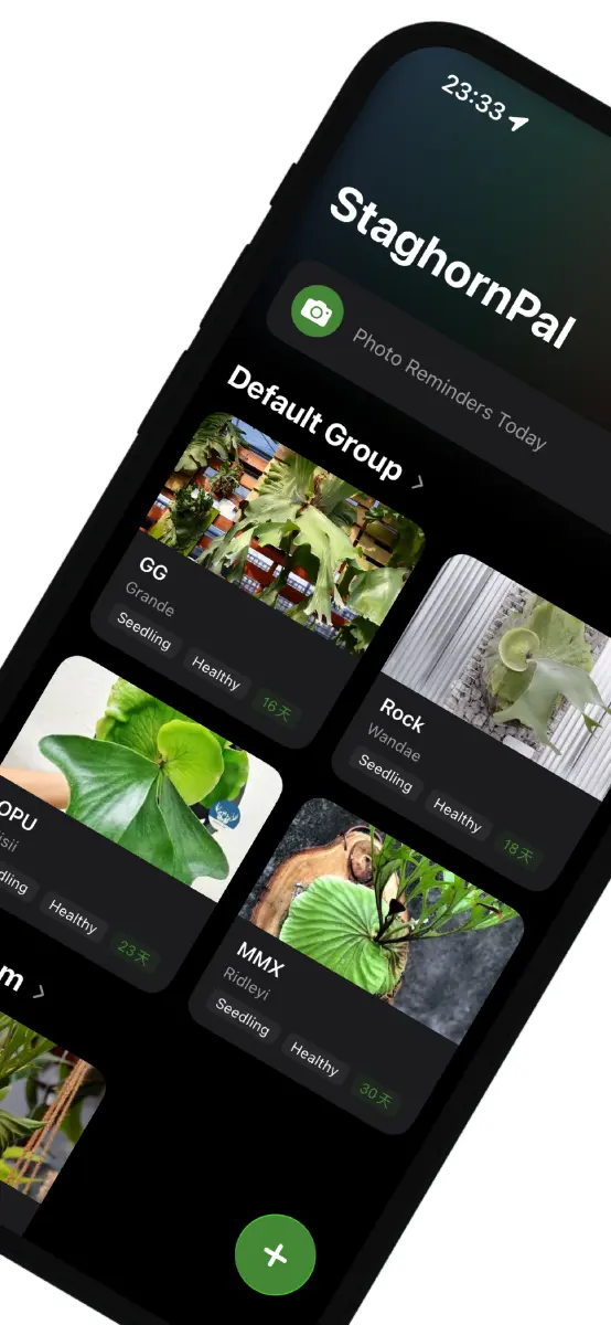 StaghornPal - Screenshot 2