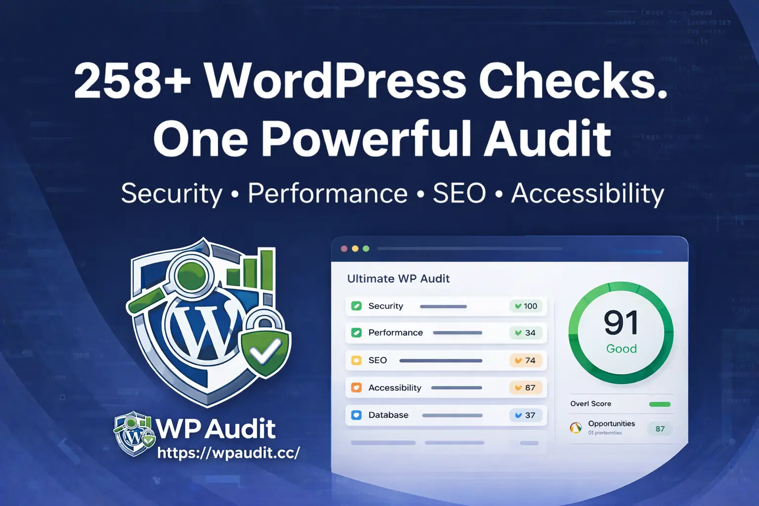 Ultimate WP Audit - Screenshot 1
