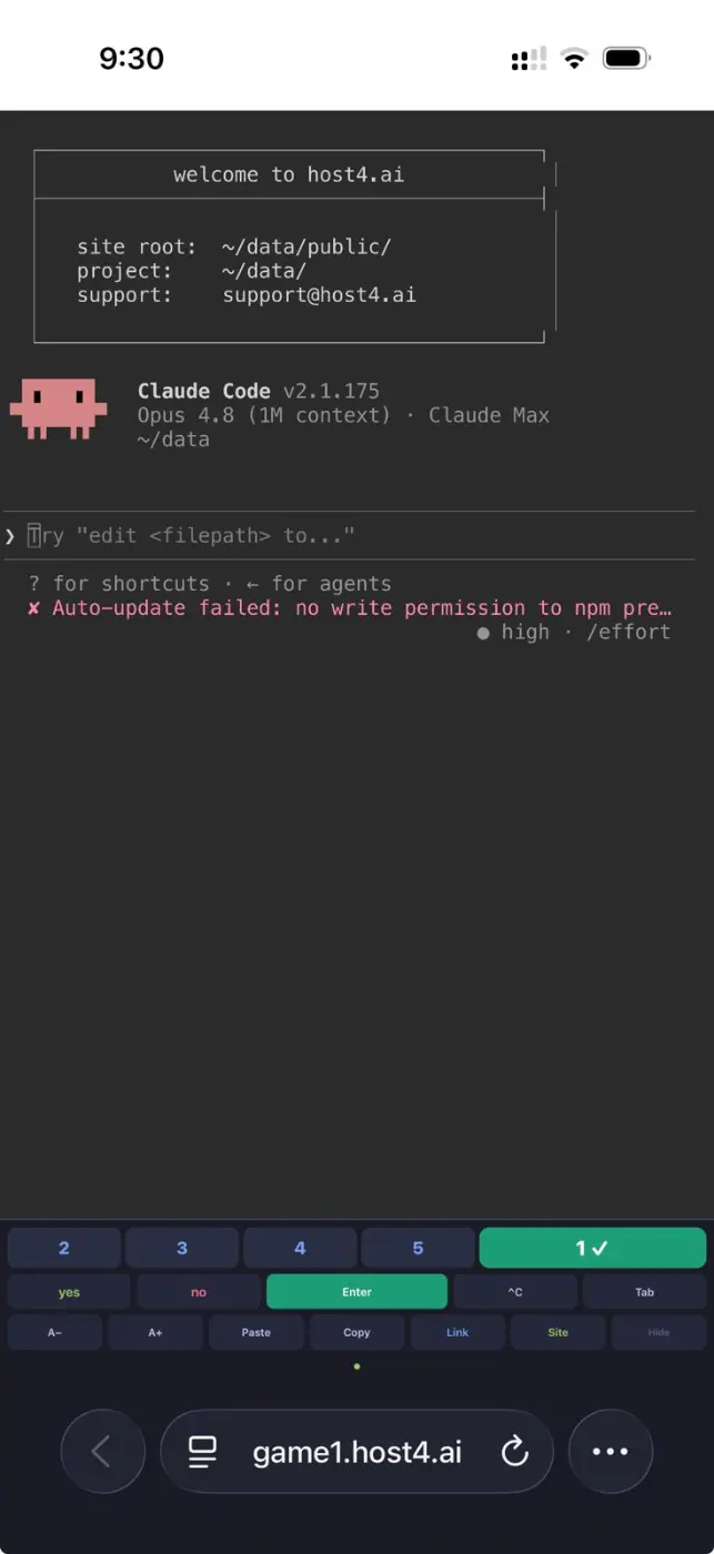 host4.ai - Screenshot 3