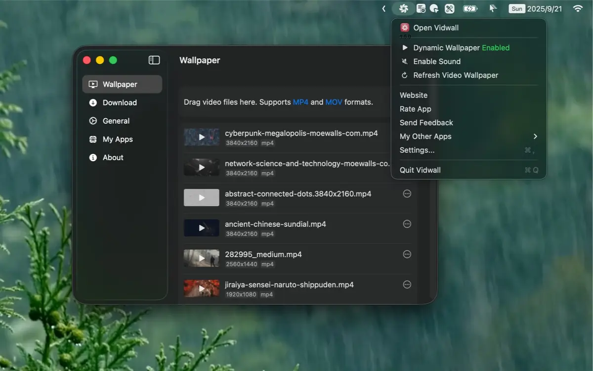 Vidwall - Screenshot 2