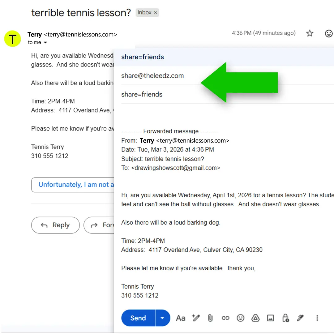 the Leedz - Screenshot 3