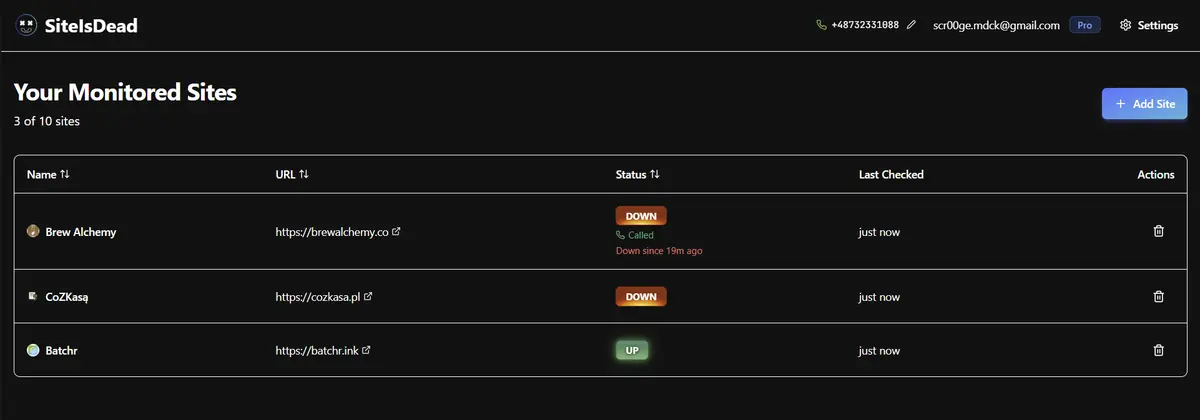 SiteIsDead - Screenshot 4