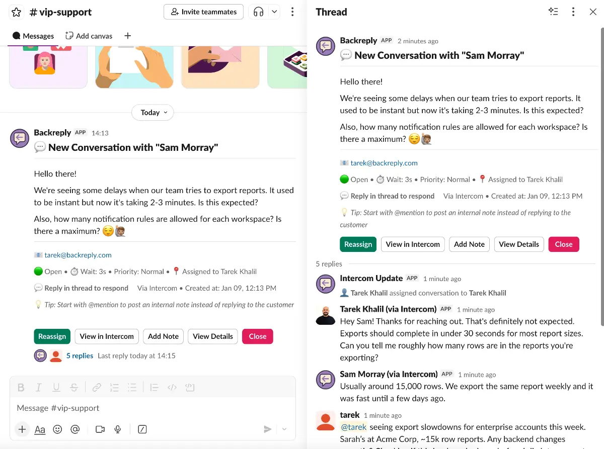 BackReply - Screenshot 4
