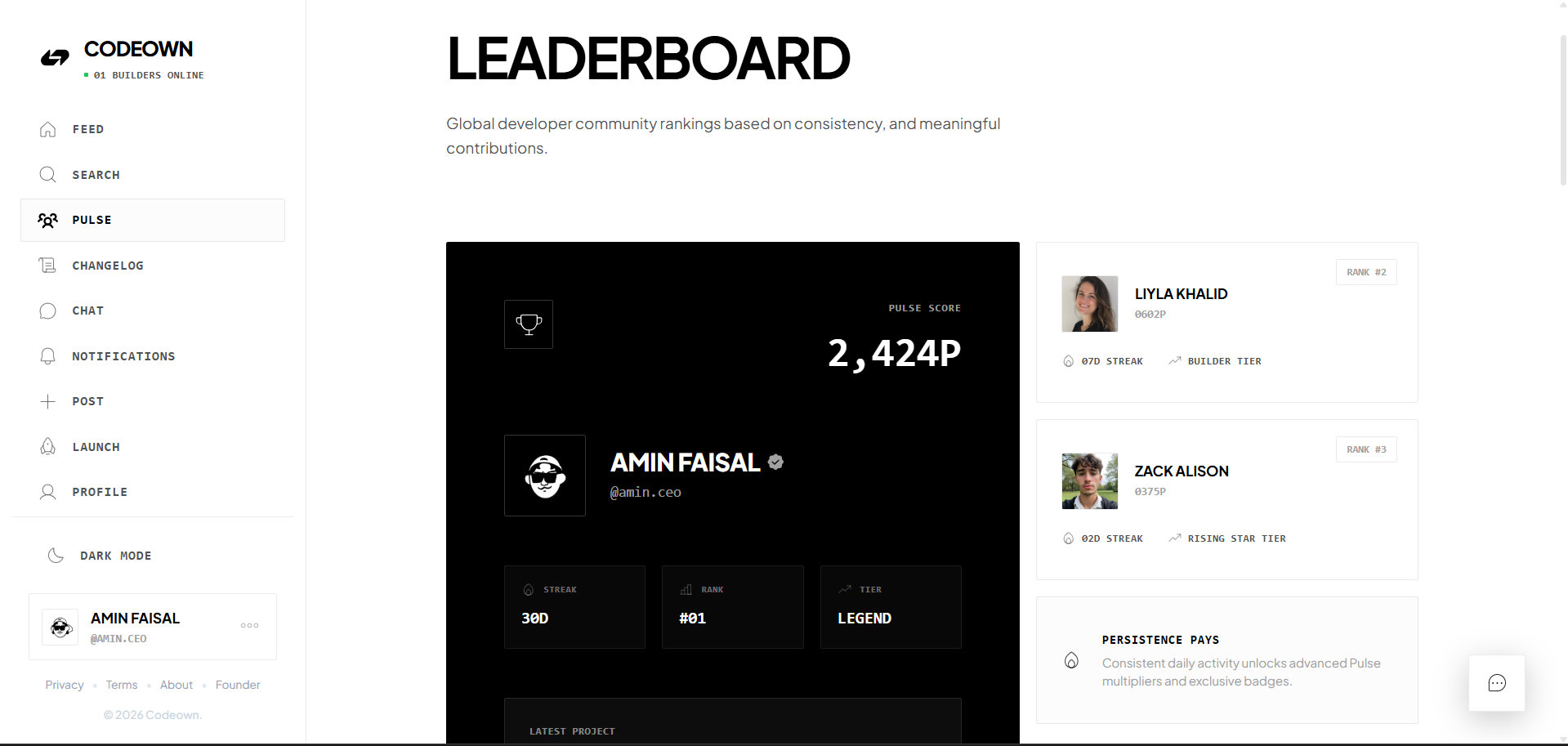 Codeown - Screenshot 2