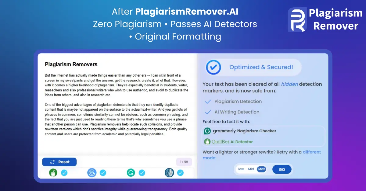 PlagiarismRemover.AI - Screenshot 2